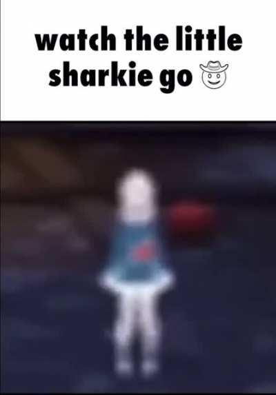 Little sharki