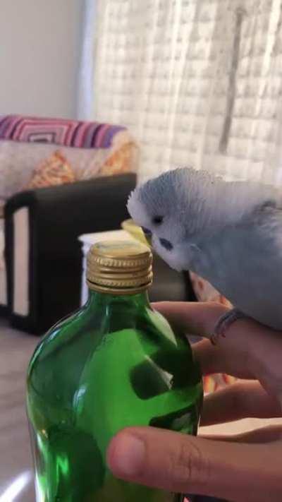 i think Langa likes my water bottle lol