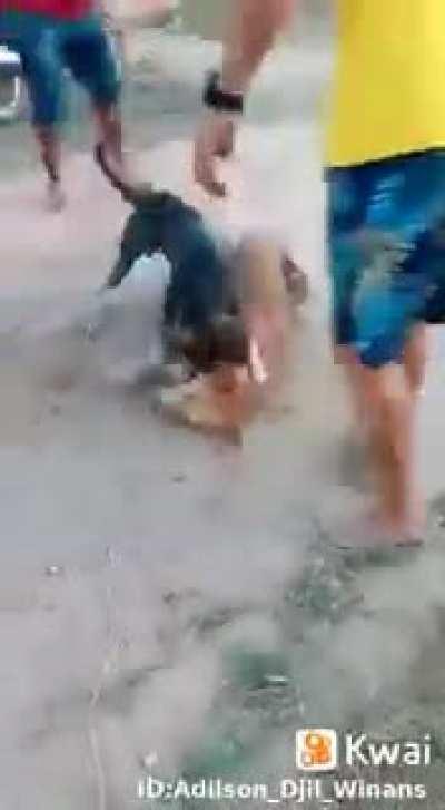 Lady's and gentlemen, Brazil