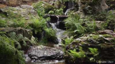 Dude, This place is turning into a Spiral (Embedded Geometry, Pattern Recognition)