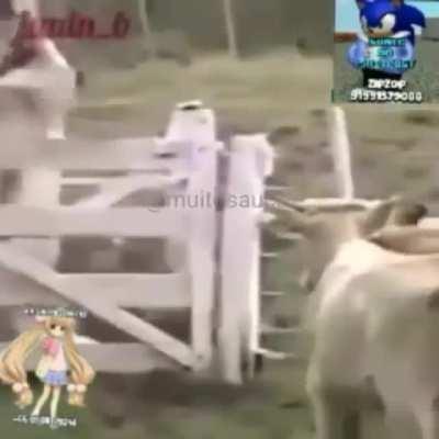 Free fire foi atualizado!!!