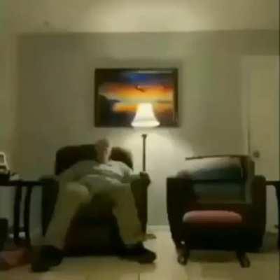 Day 12 of my moldiest memes