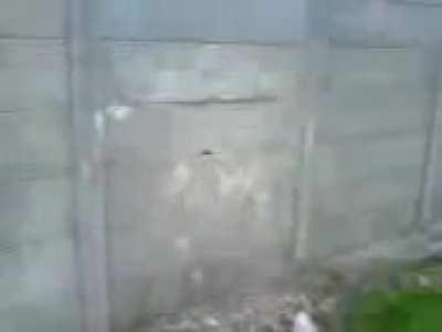 Kicking the concrete fence, pretty old WCGW