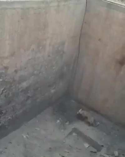 I guess we will do it your way!