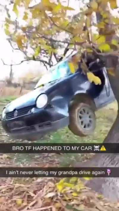 🚗🚗🪳😭😭😭🏴‍☠️