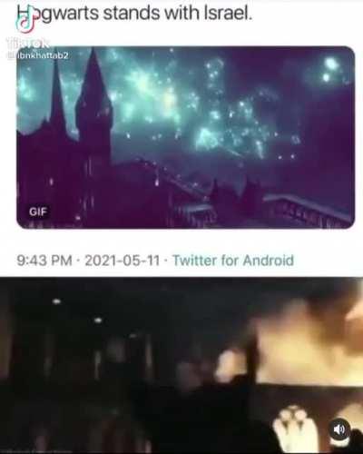 The Death Eaters support Palestine 😎