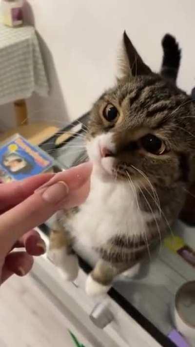 Git dat sheet outta ma fase!