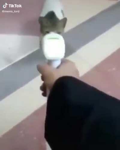 كرونا احتلت العالم