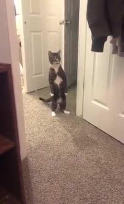 Just Malcolm being a little weirdo ❤