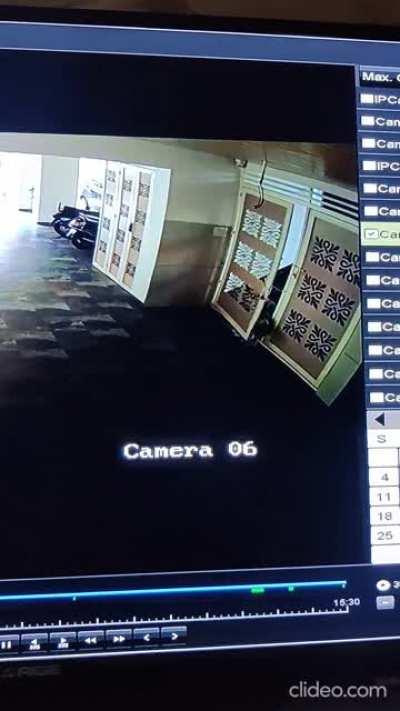 Today I understood why Huskies are called 'Escape Artists'