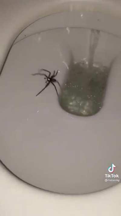 Tripping on dph be like