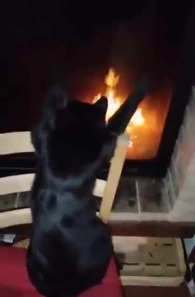 Guys I think he's summoning something evil