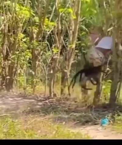 Bro fighting for his life