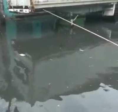 Pescadores do asfalto!