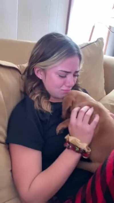 That puppy is gonna get a lot of love