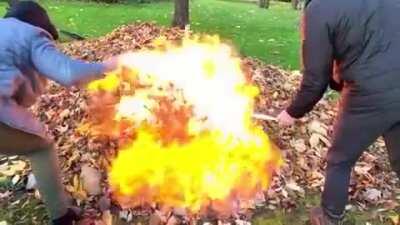 Pouring GASOLINE over a pile of leaves, what could go wrong?