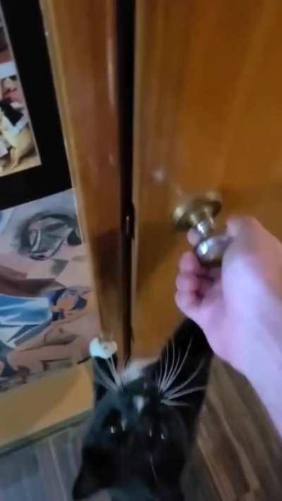 House sitter: Where's the cat food? Me: You'll figure it out