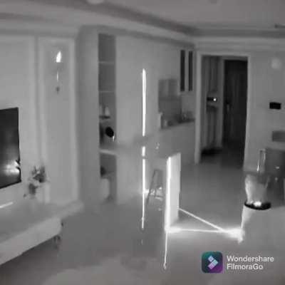 Roomba Ranger & Meowing Mechanic, Surveillors of the Mansion [Optional Bossfight]