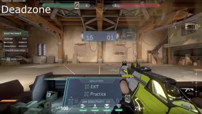Deadzone vs Overaim
