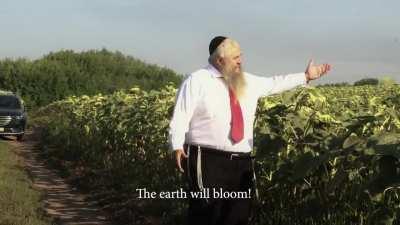 Chief Rabbi Of Ukraine Moshe Azman. My gift for Ukraine's Independence Day, the song 