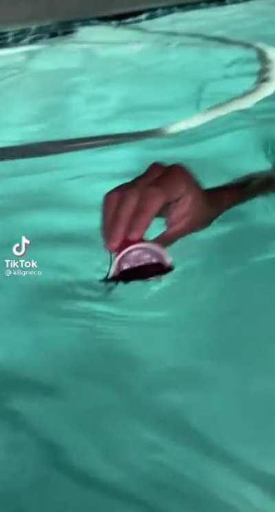 Posting this here too because it’s too good