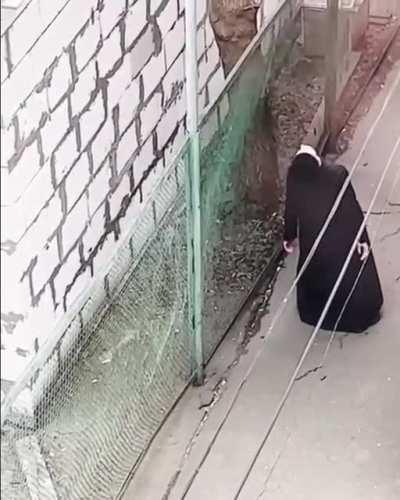 прямая линия