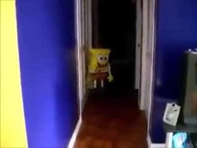 sinistro (não tem susto COMFIA)