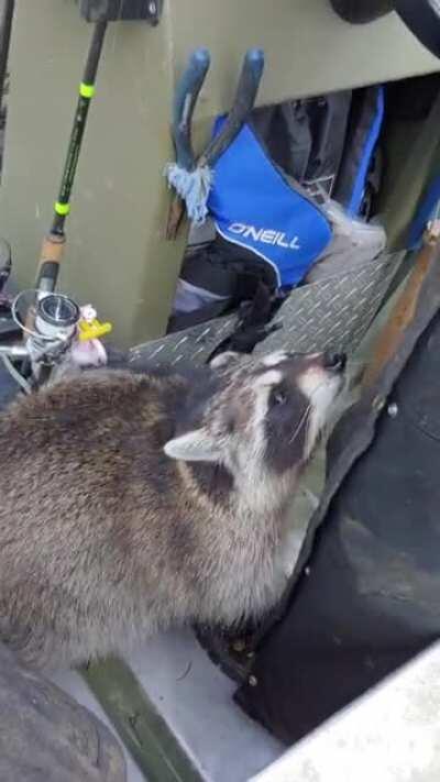 Ms.Lucy gone fishing!!!