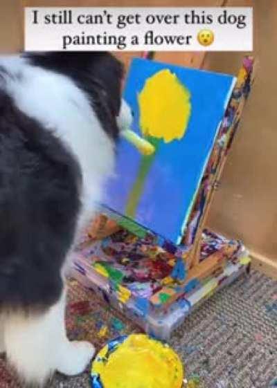 doggo painting a sunflower!