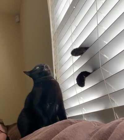 This is a very violent window