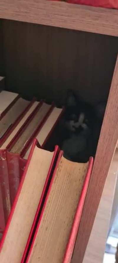 Oh, old books. What secrets do you hide?