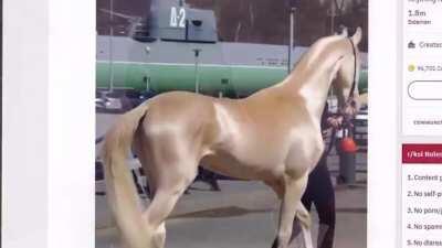 Guess he’s the same Old KSI