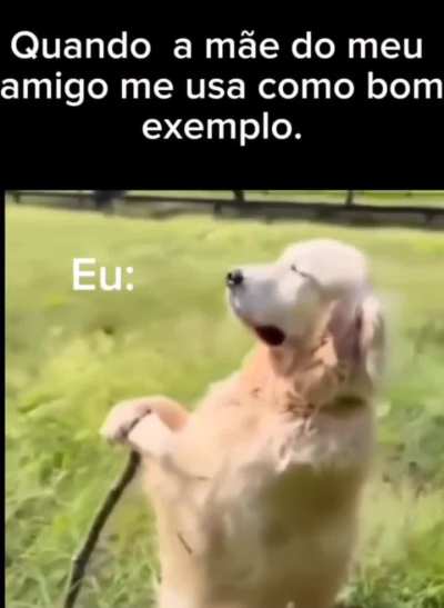 eu😇nvr