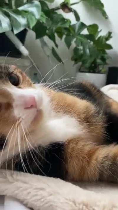 “Mom seriously you’re annoying me now”