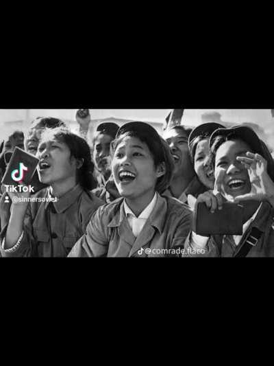 Don't mess with the Mao Mao