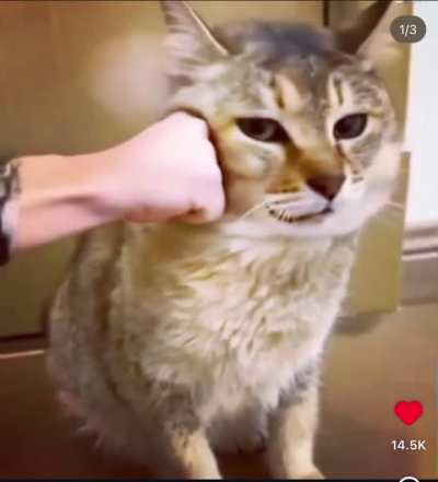 Why they do Vro like this 😢😭