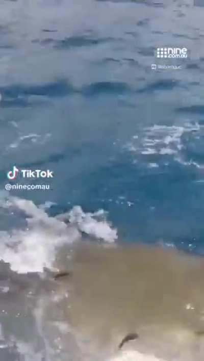 He's gonna need a bigger kayak