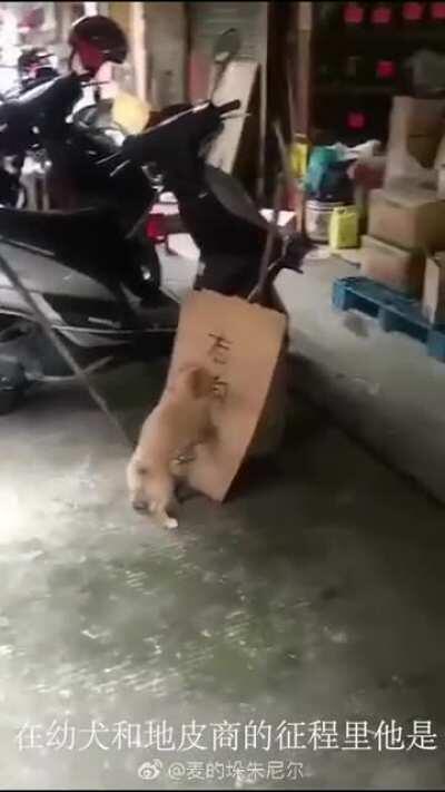 今夜派对就要散场