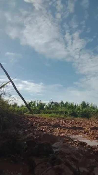 Tentei pular aqui mufinha