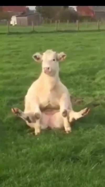 haha sometimes you gotta do what you gotta do