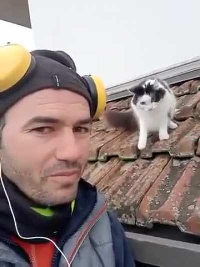 What did you just say....