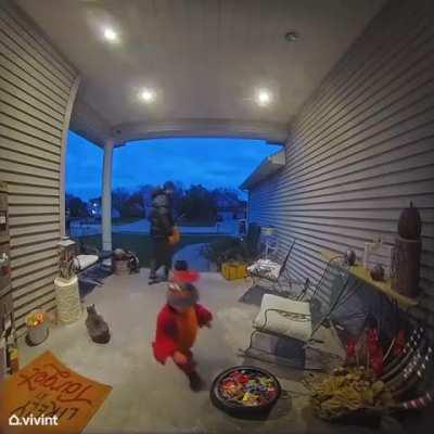 Who needs candy when there’s a kitty 