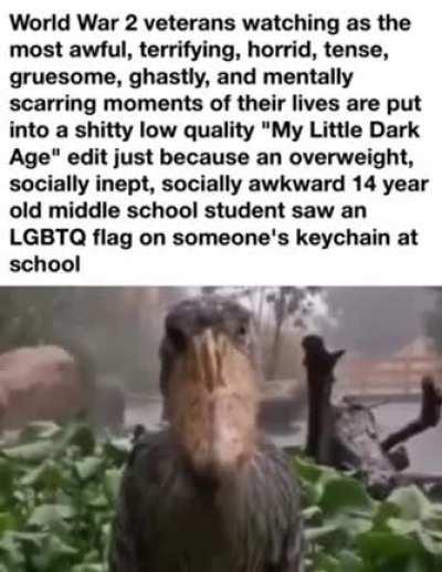 MEMORIES BROKEN THE TURTH GOES?