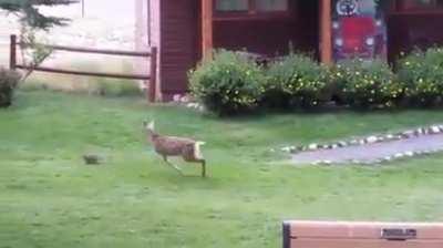 Purest thing I’ve seen whole day