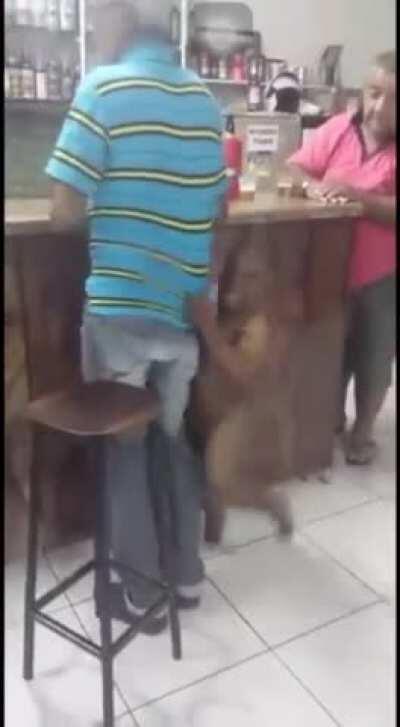 Just sitting at the bar minding his own business, when all of a sudden...