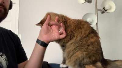 &ldquo;Excuse me, I wasn&rsquo;t done&rdquo;