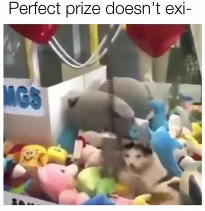 Cat hired to reduce chances of people winning something.