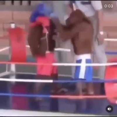 Feministler kavga ederken olur gibi