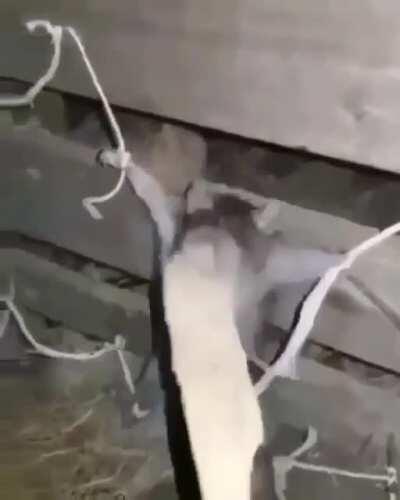 Donde esta? 😡😡