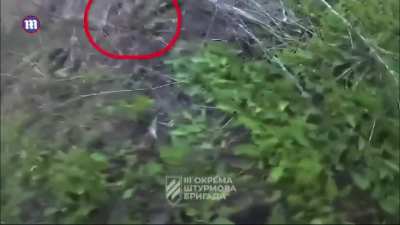 Compilation of soldiers on the receiving end of granades.